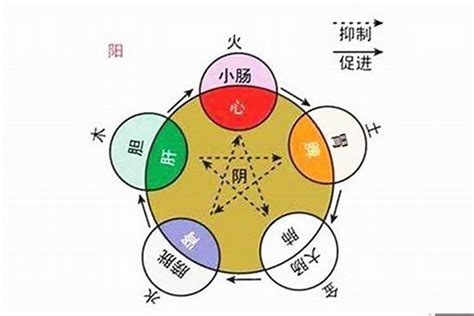 明 五行屬性|五行中的明：改變人生軌跡